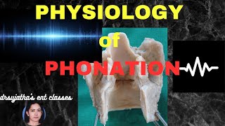 219Physiology of Phonation ent anatomyphysiology sound [upl. by Teodorico]