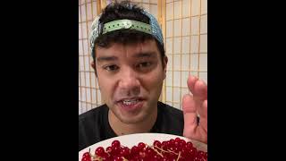 Fruit Review  Red Currant [upl. by Etteloiv445]