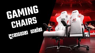 Gaming Chairs  To buy or Not to Buy [upl. by Nageet]