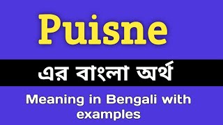 Puisne Meaning in Bengali  Puisne শব্দের বাংলা অর্থ কি  Bengali Meaning Of Puisne [upl. by Ylevol69]