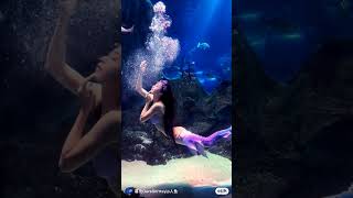 Mermaid Merman  Choreography Real Jalpari shorts jalpari Mermaid mermaids chinatiktokvide [upl. by Sobel]