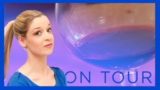 Wein für Anfänger  Ein Sommelier im Verhör [upl. by Charlet]