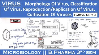 Virus Morphology of Virus  Classification of Virus  Replication of Virus  Cultivation of Viruses [upl. by Old60]