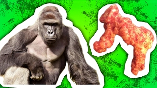 Harambe Cheeto Sold for 100000  WHY [upl. by Ashli]