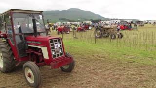 Case and IH Tractors at the 2013 Fife Vintage Agricultural Machinery Club Rally at Corston Mill [upl. by Boswall]