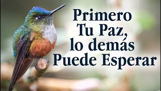 Conservar tu felicidad es posible cuando identificas los enemigos de tu paz [upl. by Emlyn]