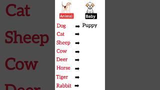 Animals and their babies names english animalfacts names shorts shortsfeed [upl. by Pappas]