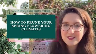 How to prune your spring flowering clematis [upl. by Eciened597]