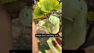 New Lightweight Gadget For Grape Farmers coolgadgets tools [upl. by Enyawed320]