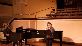 Mozart Flute Concerto in G Major 1st Movement [upl. by Perice711]