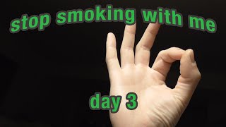 stop smoking with me  day 3 [upl. by Arzed]