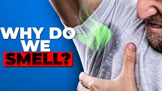 The Science of Body Odor Science Behind Your Sweat [upl. by Gennifer]