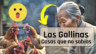 8 Increíbles Curiosidades que NO SABÍAS de las GALLINAS [upl. by Cochrane]