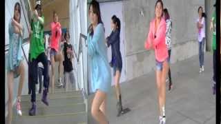 PSY 싸이  Gangnam Style 강남스타일 dance over [upl. by Ataeb]