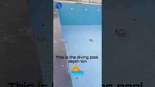 See this is the diving pool PoolWala [upl. by Wendalyn]