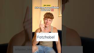 Ich errate eure Dialekt Wörter 🇦🇹⚠️ FOTZHOBEL [upl. by Iruj]