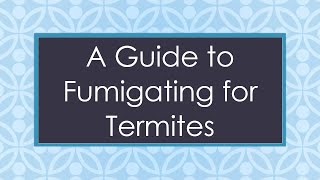 A Guide to Fumigating for Termites [upl. by Asille793]