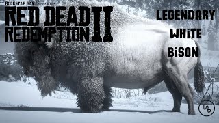 Hunting the Legendary White Bison white bison in rdr2 [upl. by Aytak]