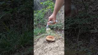 Survival skills🔥Make an Oil Lamp With Your Own Hands💡survival lifehacks camping outdoors [upl. by Billye]