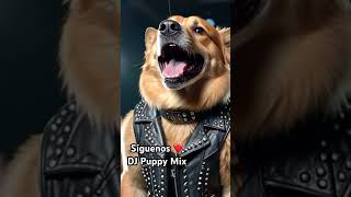 Canción “Sin Miedo” DJ Puppy Mix  Rock Motivacional agradecehoy motivacióndiaria rock [upl. by Suoicerpal]