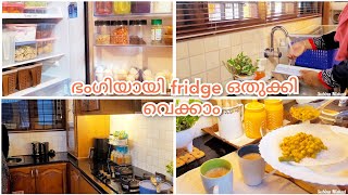 Fridge Cleaning And Organization  Fridge Organization Products  Malayalam  Subina Nishad [upl. by Granthem]