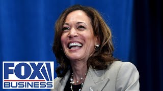 Former acting ICE director This is why Kamala was chosen to be ‘border czar’ [upl. by Anyr]