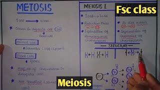 Meiosis  Cell Division  Class 12 Biology [upl. by Sayles899]