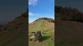 Burg Staufen im Breisgau 🇩🇪 Hochschwarzwald schwarzwald burg ruine deutschland dji mini4pro [upl. by Dabbs]