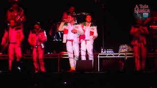 Banda MS quotPideme Perdon amp Mi Olvidoquot Desde El Aragon En Chicago IL 312014 [upl. by Victoir842]