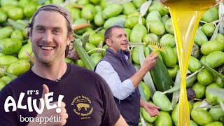 Brad Makes Olive Oil In Italy  Its Alive  Bon Appétit [upl. by Durtschi]