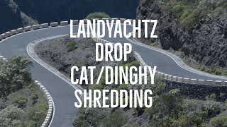 Longboarding Landyachtz Drop Cat Seeker 38quot And Dinghy 285quot Longboard DemoSpeed Test [upl. by Farwell]