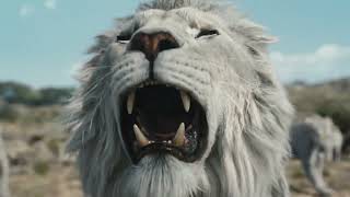 Mufasa Regele Leu 2024  Trailer Dublat în Română [upl. by Rik]