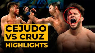 UFC 249 Henry Cejudo vs Dominick Cruz full fight highlights [upl. by Annonyw]