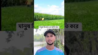 মানুষ কিভাবে এত ক্ষতি করে viralvideo real tiktok [upl. by Estevan363]