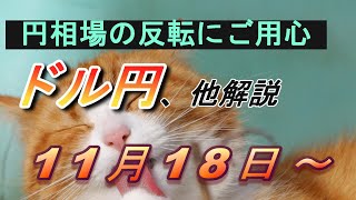 【TAKA FX】円相場の買戻しに要警戒！ ドル円他各通貨の環境認識解説。各種指数、GOLDなど 11月18日月～ [upl. by Yahc]