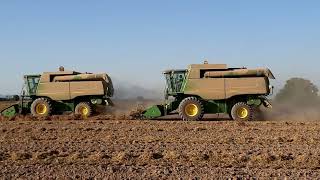 Trilladoras John Deere🦌 cosechando frijol🌱 en Tecuala Nayarit [upl. by Ahsiugal]