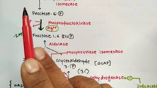 GLYCOLYSIS TRICKS  BIOCHEMISTRY  METABOLISM OF CARBOHYDRATES  PHARMACY EXAM  GPAT  NIPER  MBBS [upl. by Anwat723]