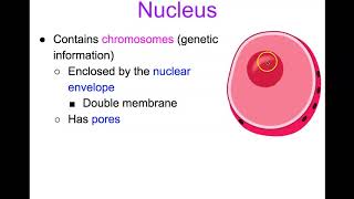 AP Bio Unit 2 Lecture 1 Topics 12 1011 [upl. by Mika]