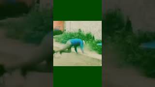 Hop Hop Spinnekop Funny Tiktok Video funny viralvideo trending southafrica [upl. by Feil]