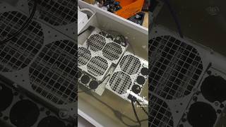 Kadena KDA Immersion Mining Liquid Cooling for More Passive Income [upl. by Blandina]