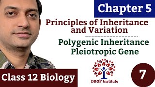 Polygenic Inheritance Pleiotropy  Chapter 5 Principles of Inheritance and Variation  07  Class 12 [upl. by Kristel]