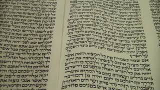 Maftir Reading for Parashat Eikev Ekev Rabbi Moshe Weisblum קריאת המפטיר לפרשת עקב הרב משה ויסבלום [upl. by Asaret]