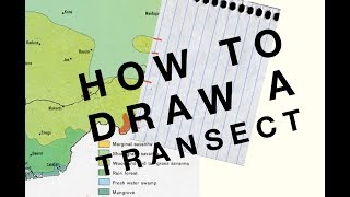 How to draw a Transect  Geo Skills [upl. by Ecilayram337]