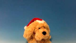 Tramondi  Plüschtier Hund quotXmas Belloquot Weihnachten mit Song quotShout  Merry Christmasquot [upl. by Silloh]