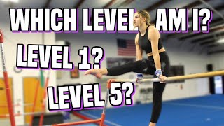 Ex Gymnasts Find Out What Level They Are Now [upl. by Ahseele936]