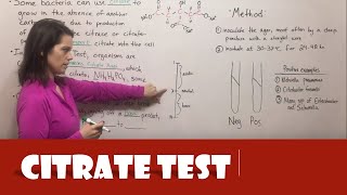 Citrate Test [upl. by Yenffit]