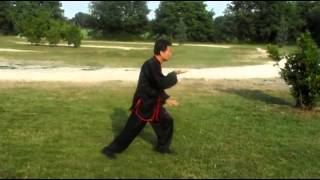 Hunyuan Taijiquan 48  Wang Fengming [upl. by Jann841]