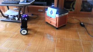 RS4  Self balancing Raspberry Pi OpenCV image processing Robot [upl. by Jerold]