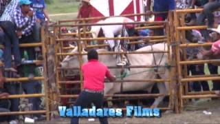 Ponciano 2015 jaripeo [upl. by Aciretehs]