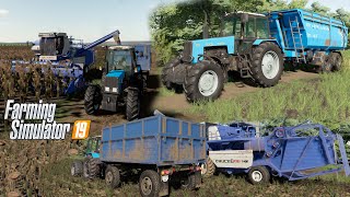 FS19 Карта Балочки Уборка подсолнуха Енисей 1200 1НМ МТЗ10252 МТЗ1221 [upl. by Jovitta]